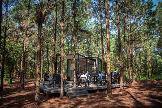 Art in the forest 2018 - khu rừng nghệ thuật giữa thiên nhiên xanh cổ tích